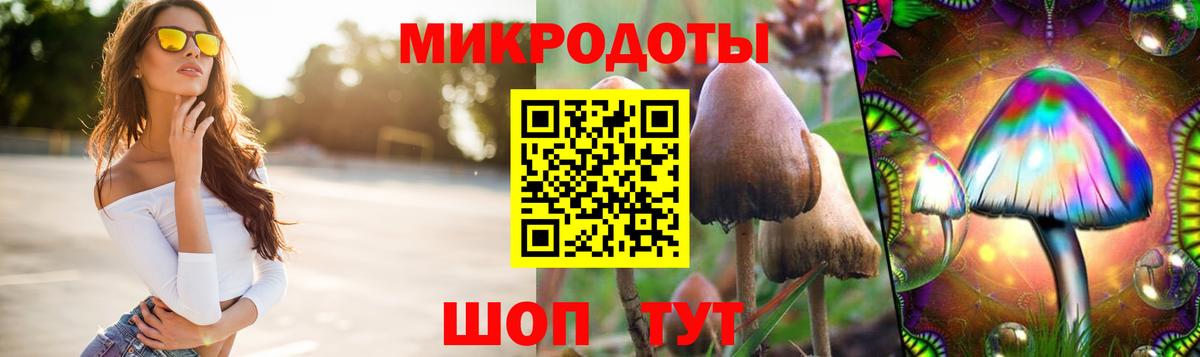 Псилоцибиновые грибы мухоморы Бирск